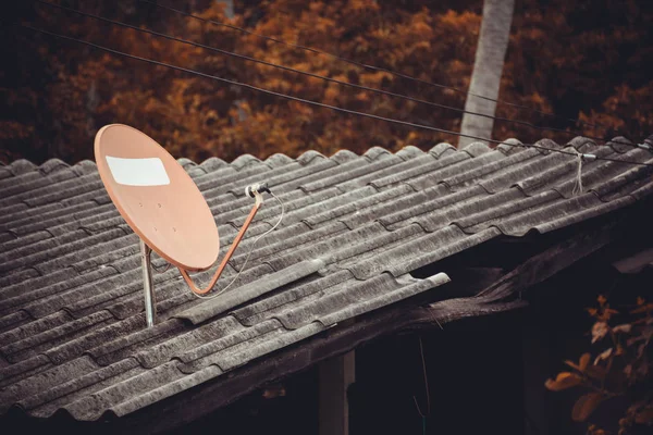 Супутникова тарілка на даху з рослиною . — стокове фото
