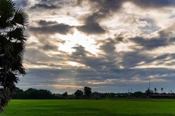 alan yeşil çim mavi gökyüzü bulut Clear peyzaj adam pilav