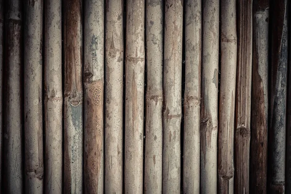 Bambu staket vägg bakgrund och textur. — Stockfoto