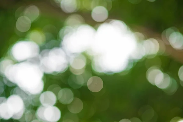 Natürliche grüne Hintergrund mit Bokeh-Kreisen. — Stockfoto