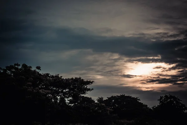 Silhouetten der Bäume. schöner Himmel bei Sonnenuntergang, Farbe und dunkles T — Stockfoto