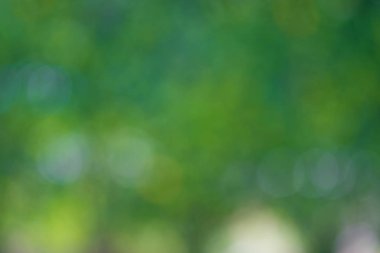 Bokeh daireler ile doğal yeşil arka plan.