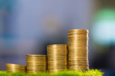 Tencerede, ahşap masa suni çim üzerinde altın sikke yığını.