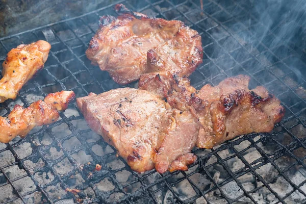 Pollo y cerdo a la parrilla sobre la llama pequeña. DOF poco profundo . — Foto de Stock