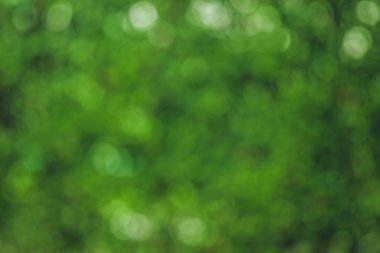 Bokeh daireler ile doğal yeşil arka plan.