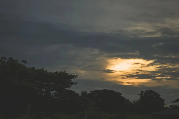 Silhouetten der Bäume. schöner Himmel bei Sonnenuntergang, Farbe und dunkles T — Stockfoto