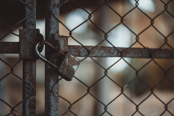 Closed metal lock door security protection padlock. — Stock Photo, Image