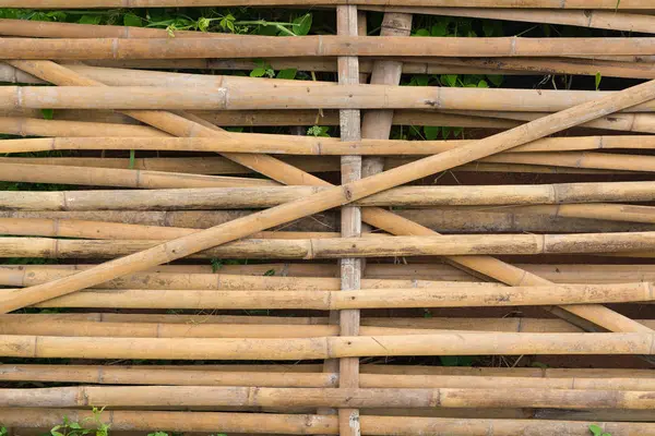 Bambu staket vägg bakgrund och textur. — Stockfoto