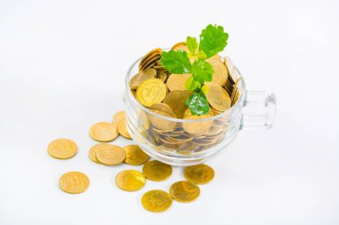 Bir bardak kahve, inci, altın sikkeler üzerinde büyüyen küçük bitki