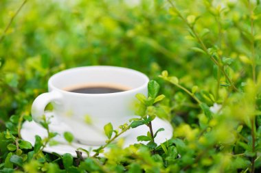 Sıcak kahve bitki yeşil doğa arka plan üzerinde beyaz fincan. sh