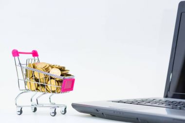 Alışveriş sepeti ya da süpermarket arabası ile dizüstü dizüstü WHI doğum