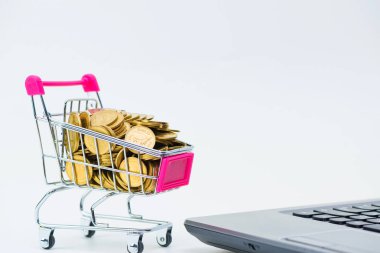 Alışveriş sepeti ya da süpermarket arabası ile dizüstü dizüstü WHI doğum