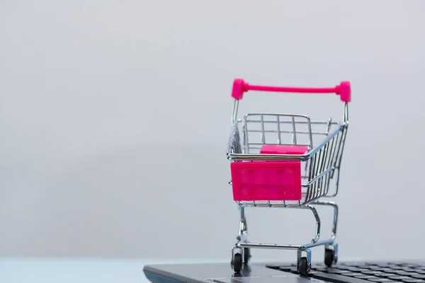 Shopping cart eller stormarknad vagn med laptop anteckningsboken på gre — Stockfoto