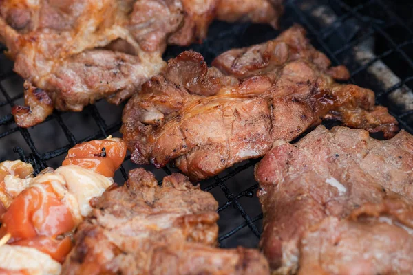 Csirke- és sertéshús grill, kis lángon. sekély Dof. — Stock Fotó