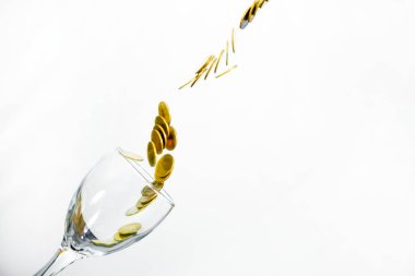 Altın sikke splash bir bardak şampanya duvar backgrou