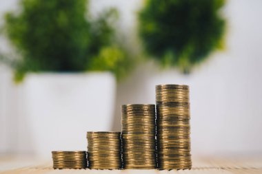 Adım para yığınları ve vazo içinde küçük ağaç / iş planlama 