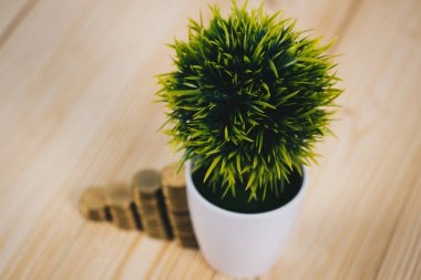 Adım para yığınları ve vazo içinde küçük ağaç / iş planlama 