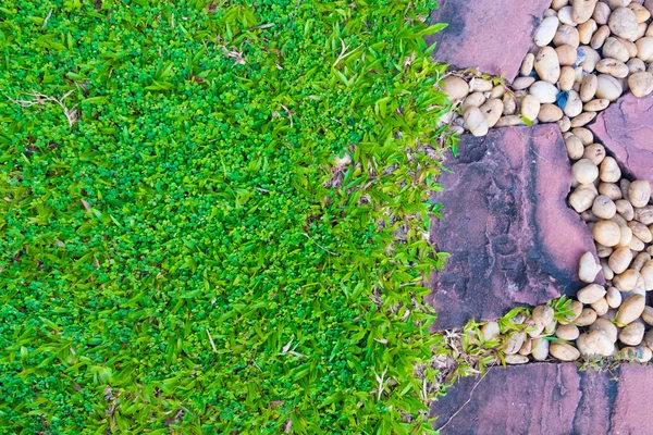 Grüne Rasenfläche mit Steinweg und kleiner Felsendekoration. — Stockfoto