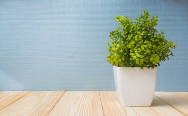 Küçük dekoratif ağaç ve çiçek buketi woode üzerinde beyaz cam aranjman