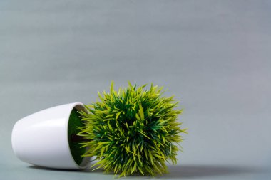 Küçük dekoratif ağaç ve çiçek buketi Grey beyaz cam aranjman 