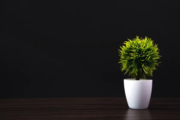 Pequeño árbol decorativo y ramo de flores en jarrón blanco en woode — Foto de Stock