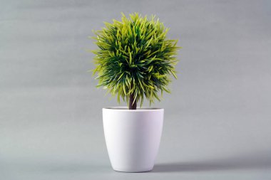 Küçük dekoratif ağaç ve çiçek buketi Grey beyaz cam aranjman 