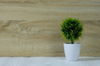 Küçük dekoratif ağacı ahşap masa üzerinde beyaz cam aranjman. arka plan