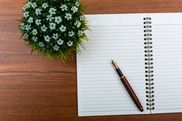 Pluma estilográfica o pluma de tinta con papel de cuaderno y poco decoratio — Foto de Stock