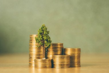 Altın sikke, büyüme işletme finansı yığını üzerinde büyüyen ağaç