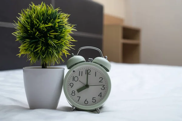 Relógio de alarme vintage e pequena árvore de decoração em vaso branco em — Fotografia de Stock