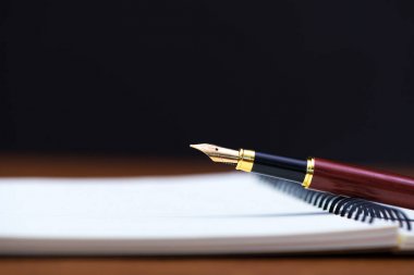 Dolma kalem veya tükenmez kalem defter kağıt üzerinde woode ile yakın çekim
