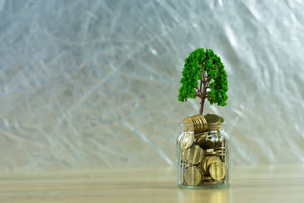 Tree growing on pile of golden coins, growth business finance in Royalty Free Stock Photos