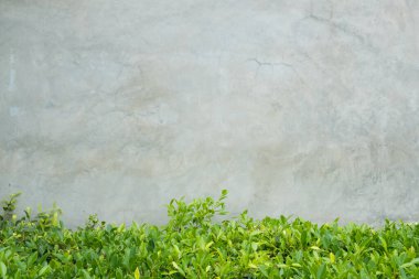 Beton duvar arka plan doku grunge ve gri yüzeyi ile sp