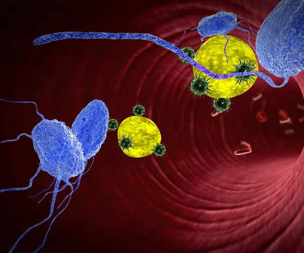 Macrophage and fat cells inside the blood vessel — ストック写真