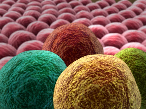 Изображение раковых клеток — стоковое фото