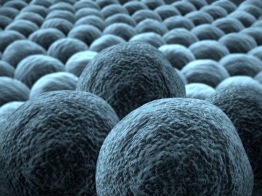 kanser hücrelerinin yakın çekim