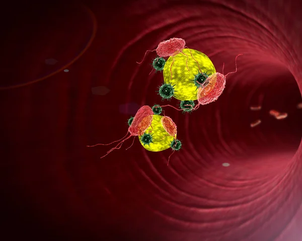 3D illustration of Human Immune System attack the virus