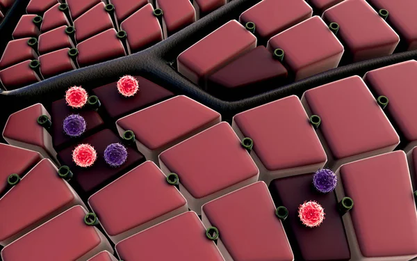 3D иллюстрация поверхности легких и вирусов — стоковое фото