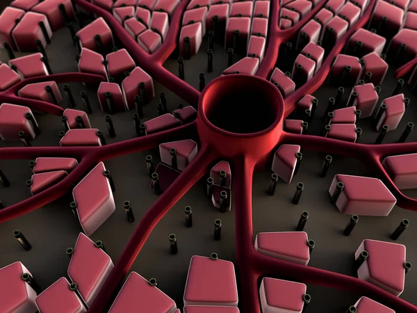 insan karaciğer hücreleri