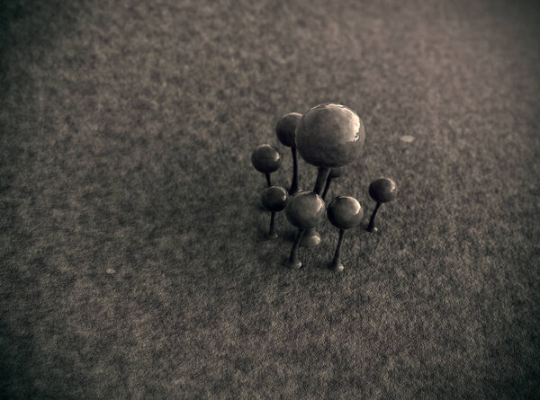 Колония грибов
