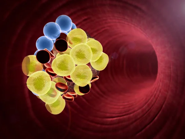 Cellule adipose ed eritrociti nel sangue — Foto Stock