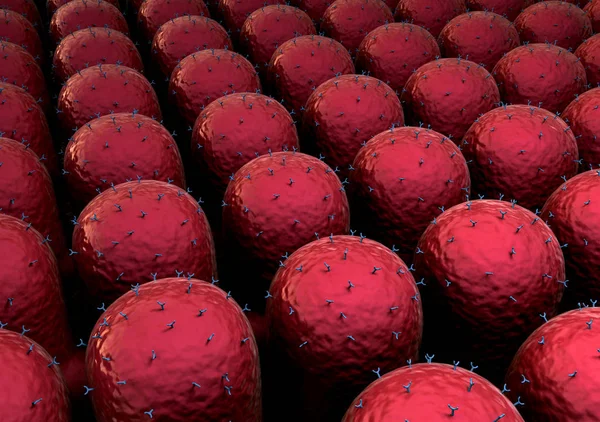 Поле клітин з рецепторами — стокове фото