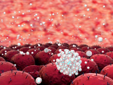 patojen ve hücreler