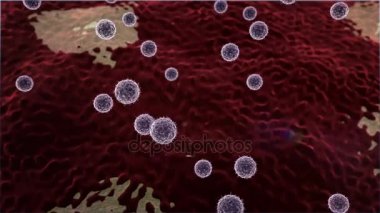 Coronavirus hücresi ve lenfositler