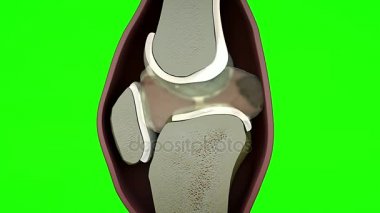 insan dizimin üzerine yeşil bir arka plan