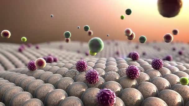 A koronavírusok megtámadják a sejteket — Stock videók