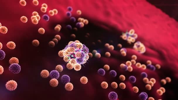 Lymfocyten tegen het coronavirus — Stockvideo