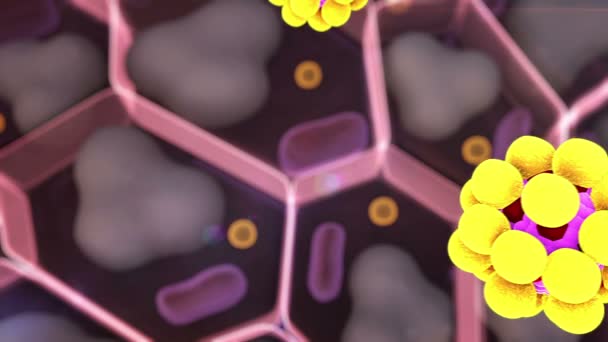 Cholesterol in a cells, — Stock Video