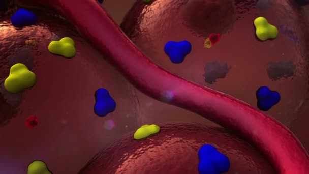 Receptorok és a véna a sejtek felszínén — Stock videók