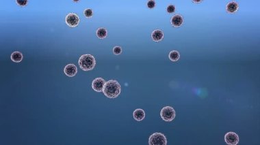 Coronavirus hücresi ve lenfositler